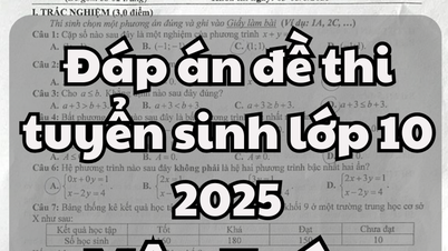 2025年クアンナム省10年生数学入学試験解答