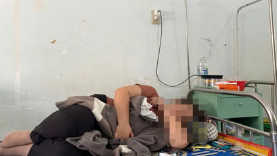 Ante el caso de envenenamiento tras comer caracoles en Phu Yen: El Departamento de Seguridad Alimentaria da instrucciones urgentes