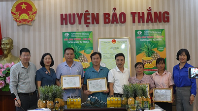 Công bố văn bằng bảo hộ nhãn hiệu tập thể “Dứa Bảo Thắng - Lào Cai”