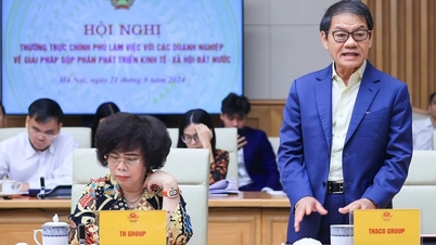 มหาเศรษฐี Tran Ba ​​Duong ส่งจดหมายอีกฉบับปฏิเสธข่าวลือเรื่องผู้ถือหุ้นต่างชาติร่วมทุนสร้างรถไฟความเร็วสูง