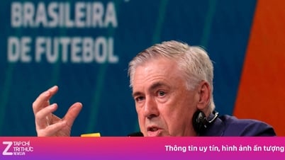 Rivaldo៖ 'Ancelotti មិនត្រូវការដំបូន្មានពីអ្នកណាទេ'