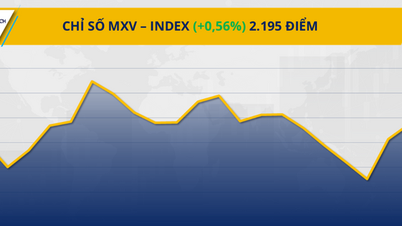 Commodity Market: Coffee Prices Fall, Oil Prices Continue to Rise