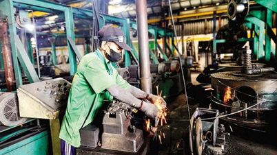 Hỗ trợ doanh nghiệp tiếp cận mô hình, dự án sử dụng năng lượng tiết kiệm, hiệu quả