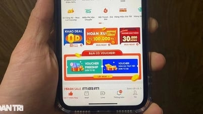 Более 25 000 частных лиц и домохозяйств, занимающихся онлайн-бизнесом, получили налоговые задолженности на сумму 331 млрд донгов.