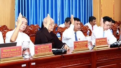 Sắp xếp lại hệ thống thanh tra tỉnh theo hướng tinh gọn, mạnh, hiệu năng, hiệu lực, hiệu quả