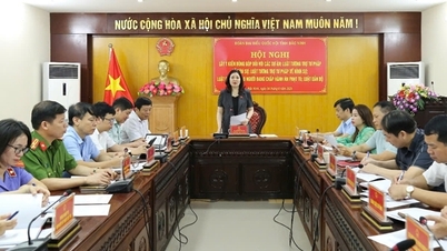 គណៈប្រតិភូរដ្ឋសភា Bac Ninh ប្រមូលមតិលើច្បាប់ចំនួន៤ ស្តីពីជំនួយផ្នែកតុលាការ