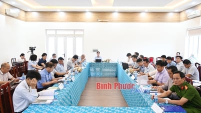 보크사이트 광산 건설 투자 타당성 조사 보고서 평가