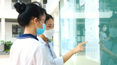 Solution pour l'examen de littérature de 10e année Thai Nguyen, année 2025