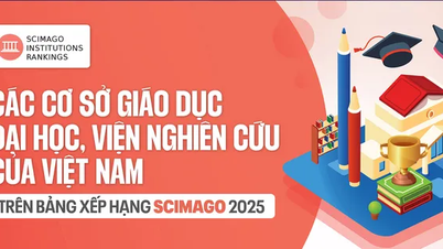 มหาวิทยาลัยและสถาบันวิจัยของเวียดนามในการจัดอันดับ SCImago ประจำปี 2025