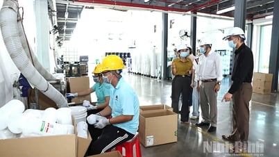 Kiểm tra việc chấp hành các quy định của pháp luật về An toàn, vệ sinh lao động tại doanh nghiệp