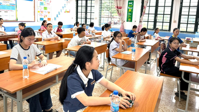 Für den Eintritt in die 6. Klasse der Sekundarschulen Le Quy Don und Ly Tu Trong gibt es Benchmark-Ergebnisse.