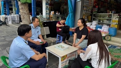 Interdisziplinäre Delegation untersucht Schmuggel, Handelsbetrug und gefälschte Waren im Distrikt Quynh Nhai