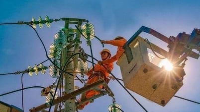 Потребление электроэнергии достигло пика, премьер-министр просит не допускать дефицита электроэнергии ни при каких обстоятельствах