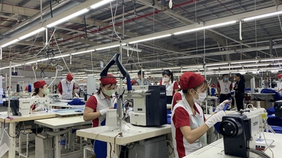 Cải thiện điều kiện làm việc tốt nhất cho người lao động