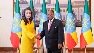 Việt Nam đang xúc tiến thành lập Đại sứ quán thường trú tại Ethiopia