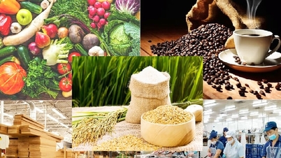 ការ​នាំ​ចេញ​កសិកម្ម រុក្ខា​ប្រមាញ់ និង​នេសាទ​ក្នុង​រយៈ​ពេល​៥​ខែ​សម្រេច​បាន​ជាង ២៨​ពាន់​លាន​ដុល្លារ