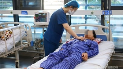 4 Personen einer Familie wegen Pilzvergiftung im Krankenhaus