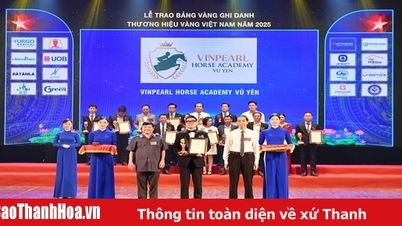 Vinpearl Vu Yen Equestrian Academy៖ ឆ្នាំនៃរបកគំហើញ និងដំណើរឆ្ពោះទៅរកភាពលេចធ្លោអន្តរជាតិ