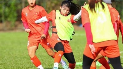 2025 동남아시아 여자 U19 챔피언십: 베트남 여자 U19 대표팀, 마지막 무대 완성