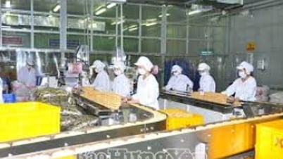 Hơn 1 nghìn doanh nghiệp đăng ký thành lập mới