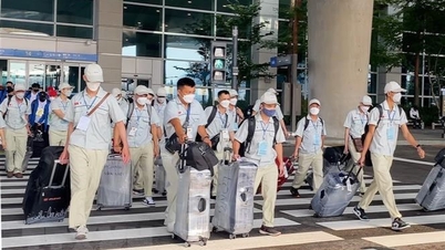 労働力輸出の混乱を鎮める
