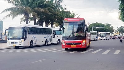 Da Nang: El transporte de pasajeros crece con fuerza gracias al impulso del turismo
