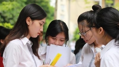 Đáp án tất cả các môn thi vào lớp 10 năm 2025 của tỉnh Bình Định