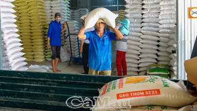 Nouvelle direction pour l'agriculture de Ca Mau