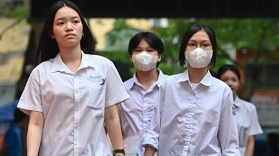 Fragen und Antworten zur Matheprüfung für die Aufnahmeprüfung der 10. Klasse in der Provinz Thanh Hoa 2025