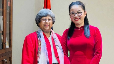 Fortalecimiento de las relaciones entre Vietnam y Mauricio en el futuro próximo