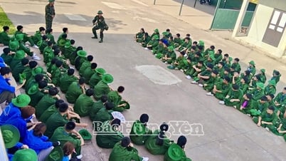Cảnh giác chiêu trò mạo danh “Học kỳ quân đội”, “Học kỳ công an”