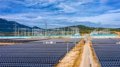 Kiện toàn Ban Chỉ đạo, thúc đẩy tiến độ các dự án năng lượng trọng điểm quốc gia