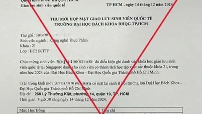 Cảnh báo lừa đảo ở các chương trình trao đổi sinh viên quốc tế, du học