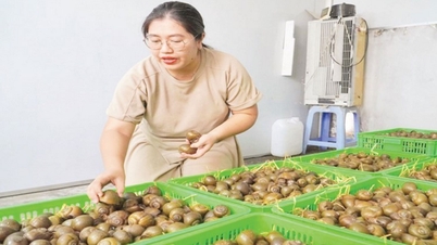 Người tiên phong đưa món ăn dân dã trở thành đặc sản