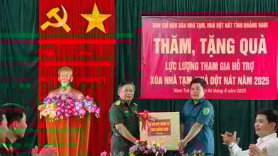 Thăm, động viên lực lượng vũ trang hỗ trợ xóa nhà tạm tại Nam Trà My, Bắc Trà My