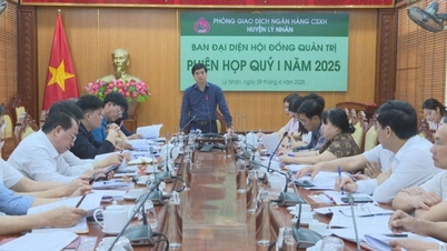 Policy credit flows between the Red River Delta and Ha Nam