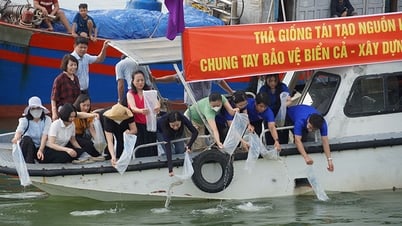 ปล่อยกุ้งและลูกปลาเพื่อฟื้นฟูทรัพยากรทางน้ำ