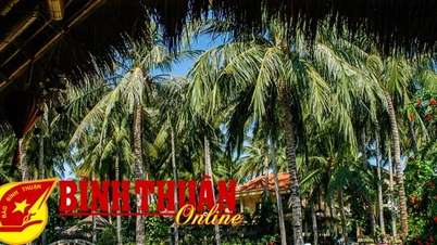 Về quê nghỉ hè kết hợp du lịch