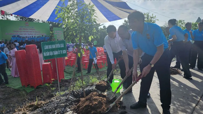 TPHCM: Phát động “Trồng cây đời đời nhớ ơn Bác Hồ” và hưởng ứng ngày Môi trường thế giới 5-6