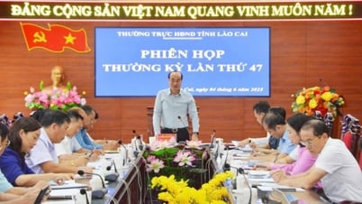 El Comité Permanente del Consejo Popular Provincial de Lao Cai celebró su 47ª reunión ordinaria