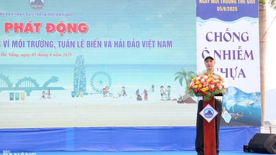 Da Nang lleva a cabo 45 programas en respuesta al Mes de Acción por el Medio Ambiente y la Semana del Mar y las Islas de Vietnam.