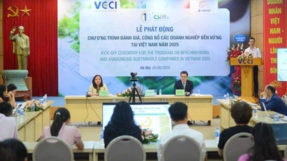 CSI 2025: Empresas sostenibles: motor de la economía privada de Vietnam