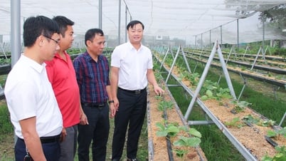 Hưng Nguyên với nhiều kết quả nổi bật về kinh tế - xã hội giai đoạn 2020 - 2025
