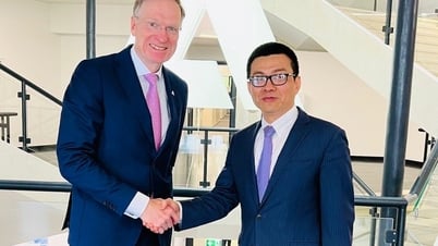 Andritz Group promotes hydropower cooperation with Vietnam