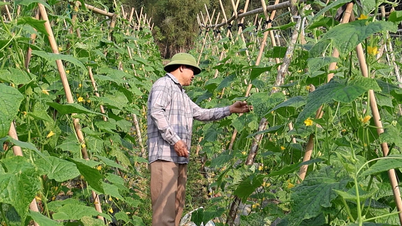 Khơi dậy ý chí vươn lên của đồng bào DTTS