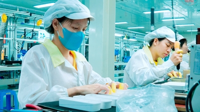 Las empresas en la era del crecimiento