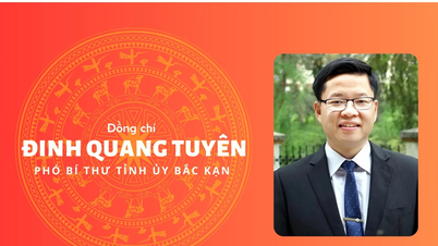 Infographics: Đồng chí Đinh Quang Tuyên- Tân Phó Bí thư Tỉnh ủy Bắc Kạn