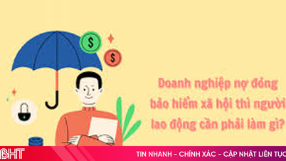 BHXH khu vực XV công khai 30 đơn vị nợ các loại bảo hiểm