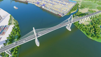 Über 2,5 Hektar Wald werden abgeholzt, um die Phuoc An-Brücke zwischen Dong Nai und Ba Ria Vung Tau zu bauen.