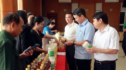 Nghệ An siết chặt quản lý chất lượng nông, lâm, thủy sản